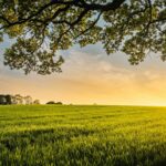 Menemukan Kesenangan Sederhana di Tengah Aktivitas Sehari-hari